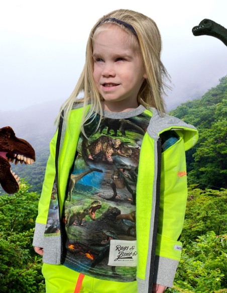 Hoody vest met rits en dino print