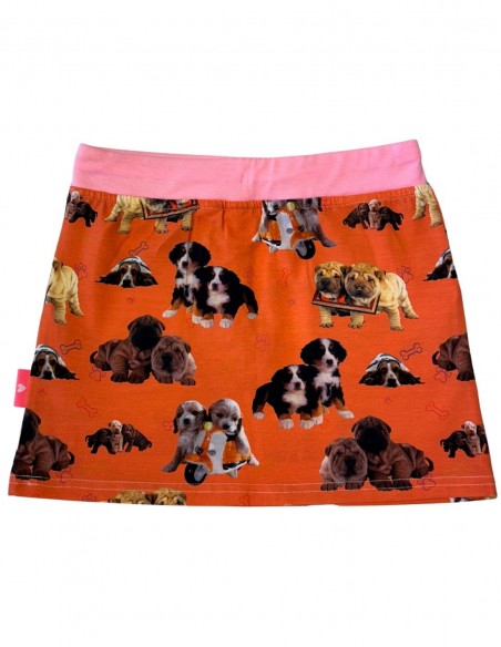 Rok Hondjes